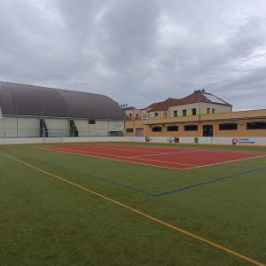 sportovni-hriste.jpg